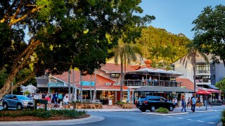 noosa visitors tourism