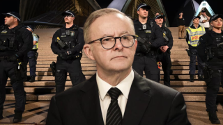 Albanese