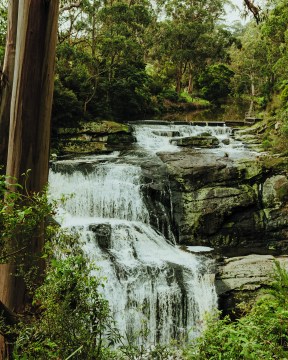 The picturesque Agnes Falls. 