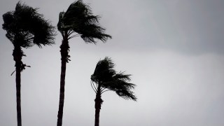 Cyclone