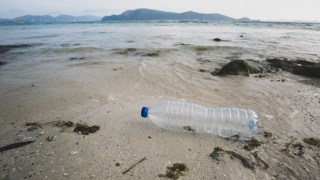 Plastic bottles on beach.