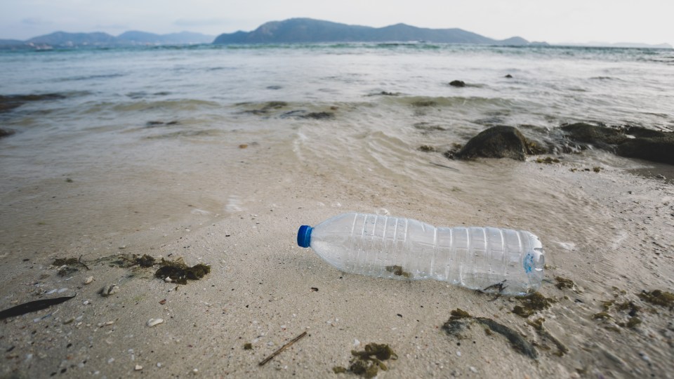 Plastic bottles on beach.