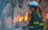 bushfire