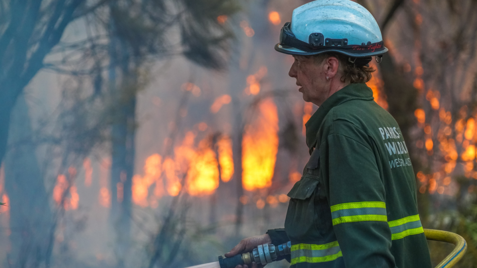 bushfire