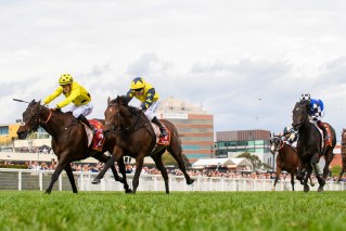 Melbourne Cup 2023: Everything you need to know for the race that stops the nation