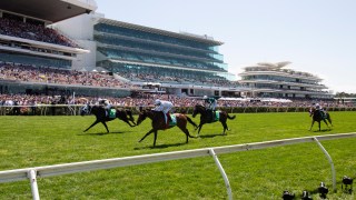 Melbourne Cup 2023 winner