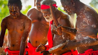 Tiwi by Design Tour