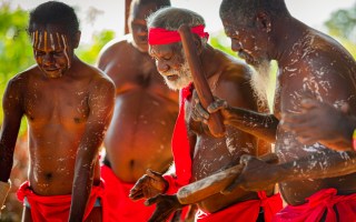 Tiwi by Design Tour