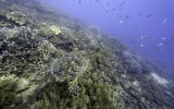 Sea dumping