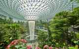 Changi Airport Rain Vortiex