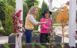 garden hustle lisa mccune