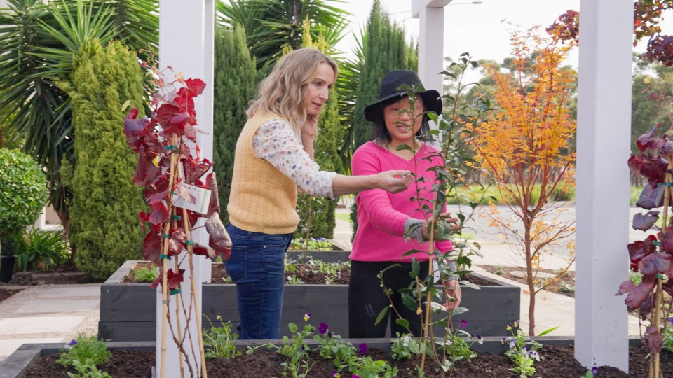garden hustle lisa mccune