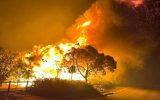 BUSHFIRE
