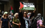 Teachers Palestine