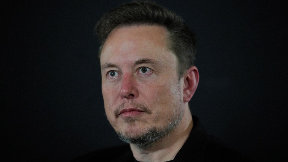 pictured is Tesla CEO Elon Musk