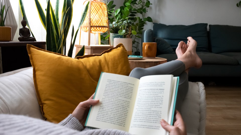 Pictured is someone reading