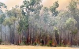 parkerville fire WA
