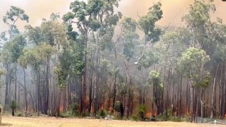 parkerville fire WA