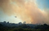 bushfire