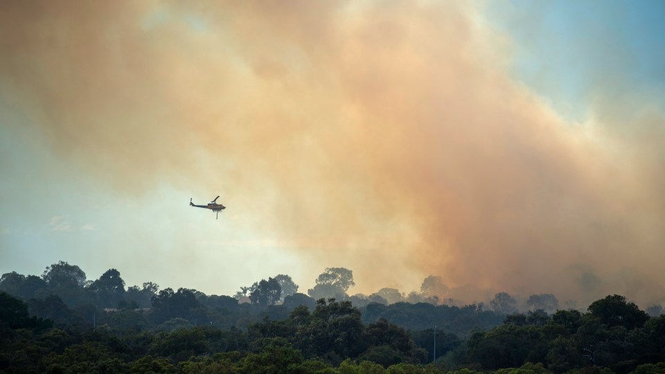 bushfire