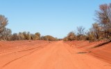 alice springs body