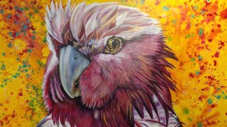 wally galah stolen