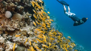 cairns tourism