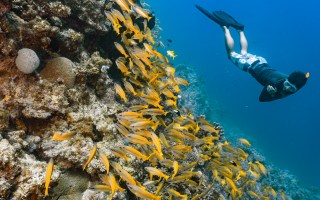 cairns tourism