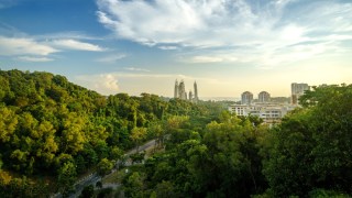 Singapore Nature Walks