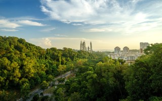 Singapore Nature Walks