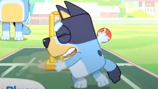 bluey cricket