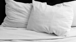 pictured is a bed pillow