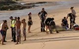 phillip island drowning