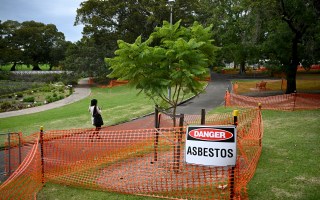 Asbestos-tainted mulch