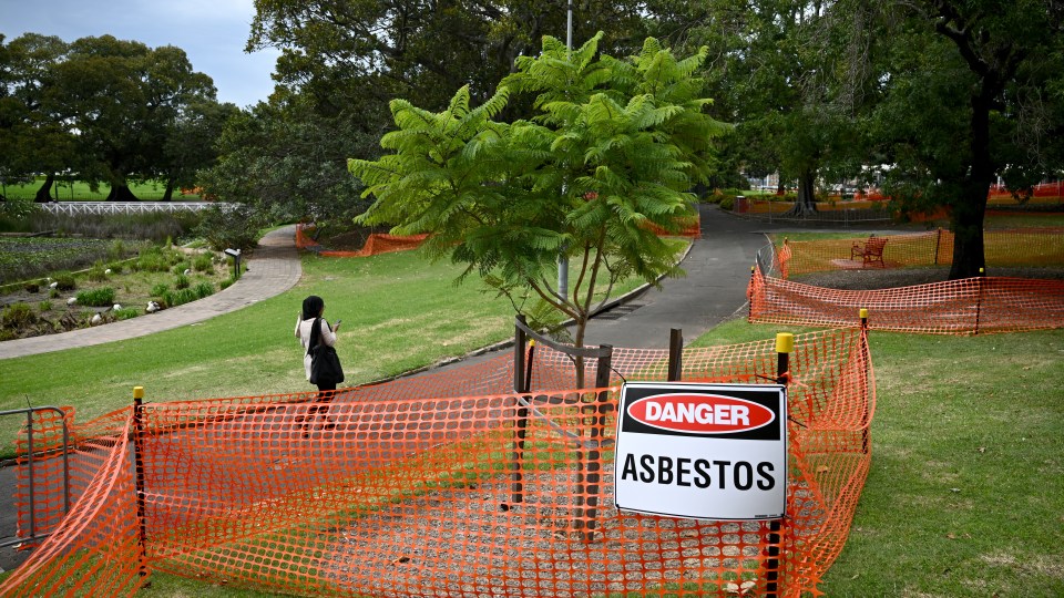 Asbestos-tainted mulch