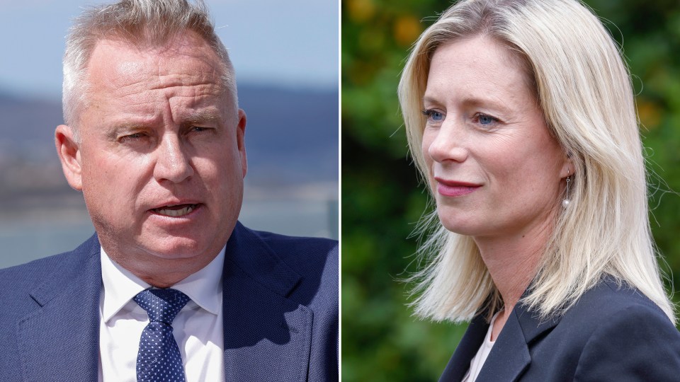 Tas election