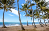 Pictured is Palm Cove Beach in Queensland