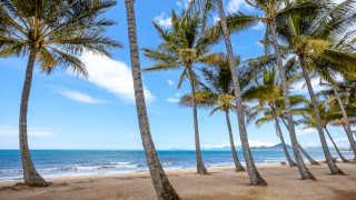 Pictured is Palm Cove Beach in Queensland
