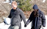 harry meghan royal