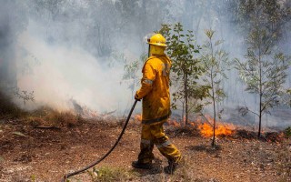 bushfire