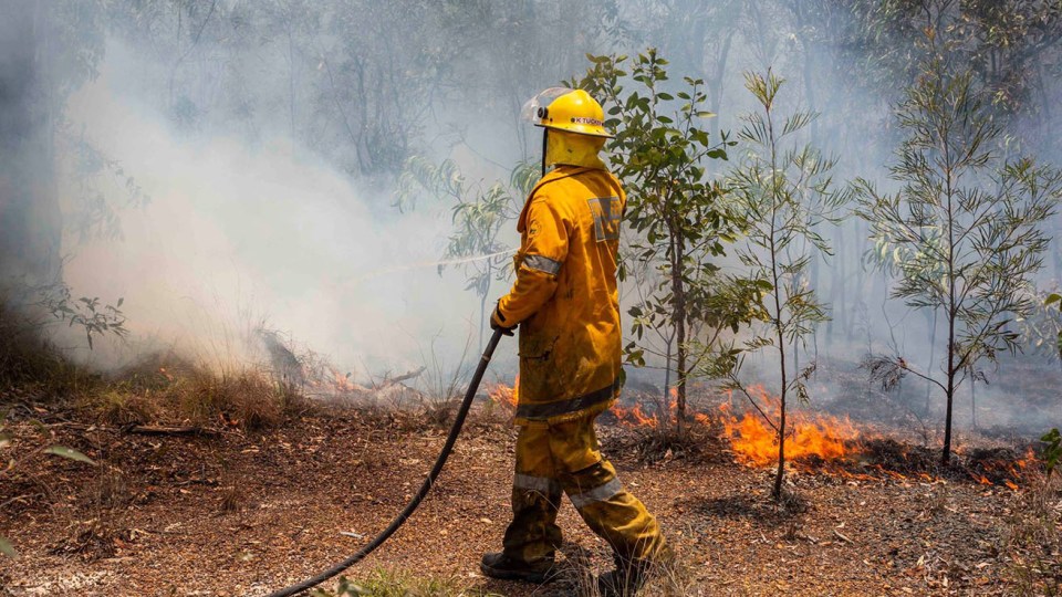 bushfire