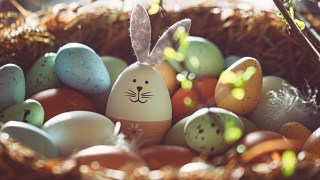 Easter eggs in a basket