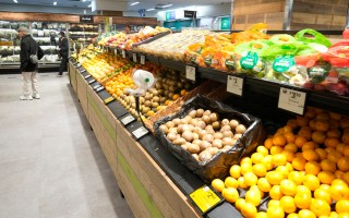 grocery
