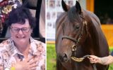 winx first foal