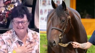 winx first foal