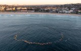 Bondi