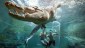 Swim with crocodiles at Darwin's Crocosaurus Cove.
