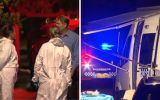 nsw teen stabbing