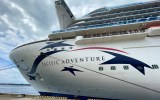 cruise shipping missing person