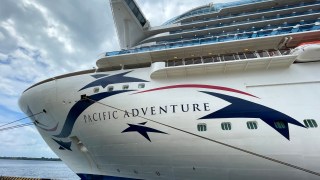 cruise shipping missing person